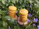 Набір воскових свічок "Бджілка" Zigrivay (8,5х5см) 2 шт